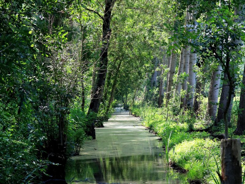 Publitour Chabannes - Puy du Fou et Marais Poitevin