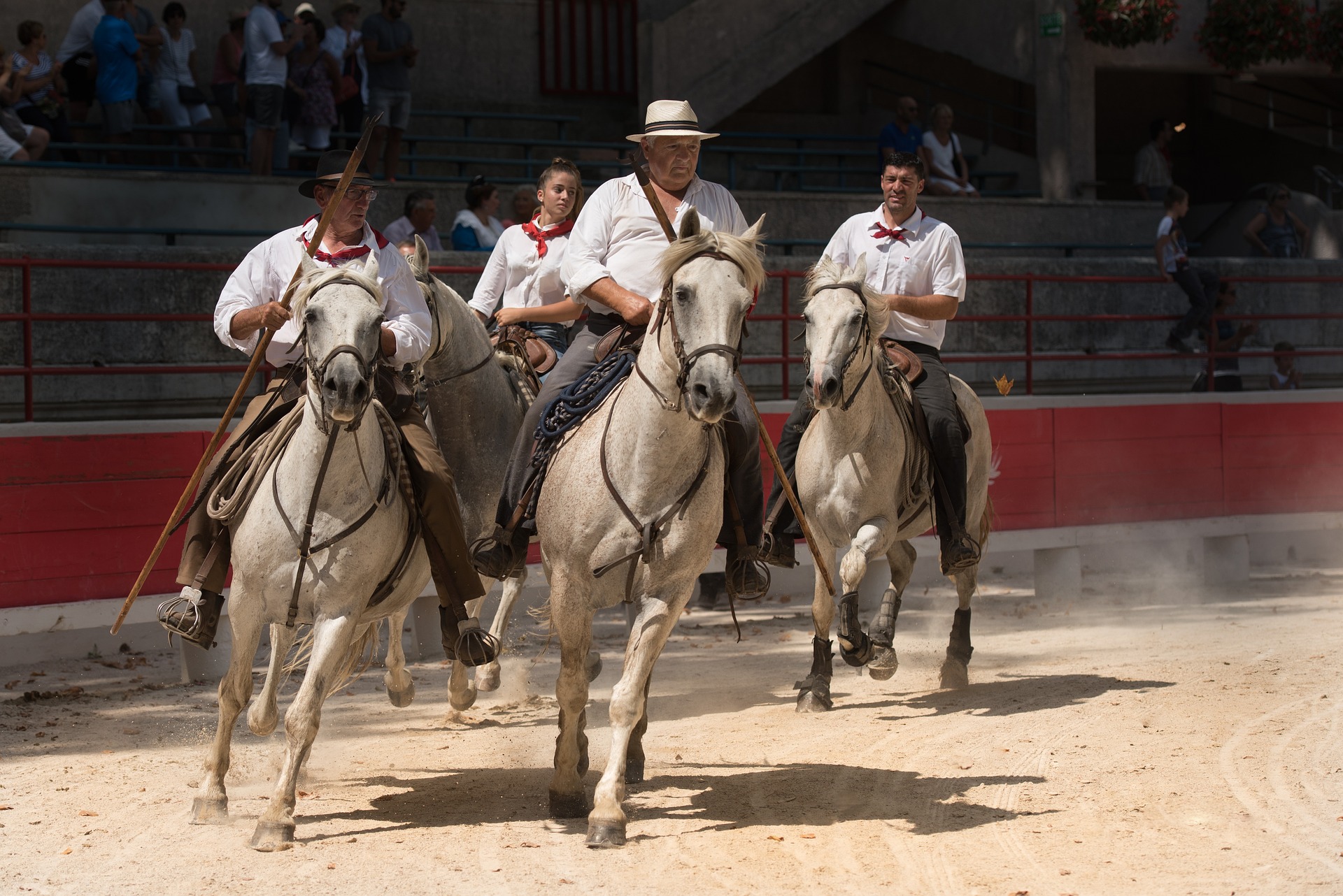 Publitour Chabannes - Manade et croisière en camargue