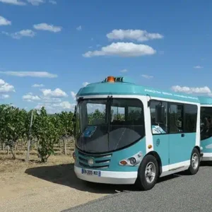 publitour chabannes vignoble et musée gallo-romain