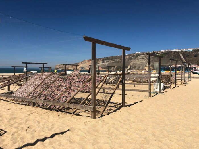 LE PORTUGAL – Image 4