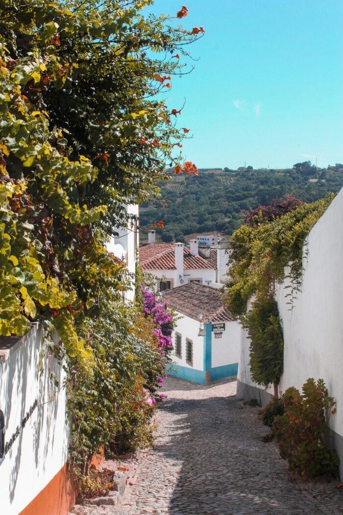 LE PORTUGAL – Image 3