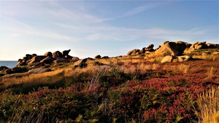 BALADES BRETONNES – Image 5