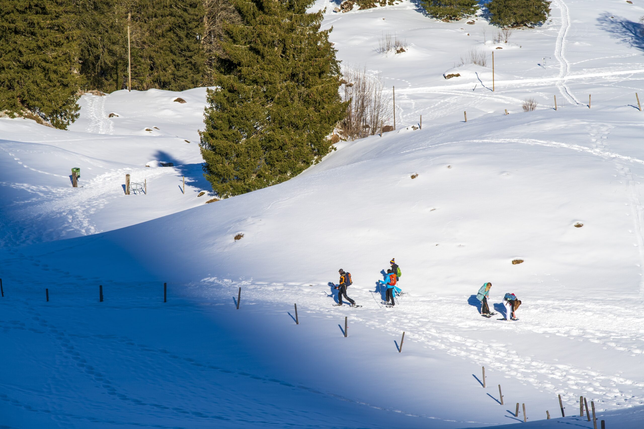 Publitour Chabannes Jura ski neige