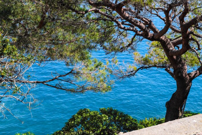 SÉJOUR DANSANT SUR LA CÔTE D'AZUR – Image 5