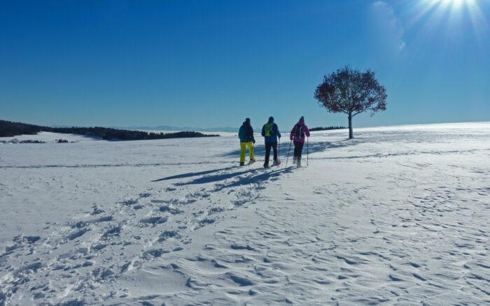 SÉJOUR RAQUETTES DANS LE HAUT-JURA
