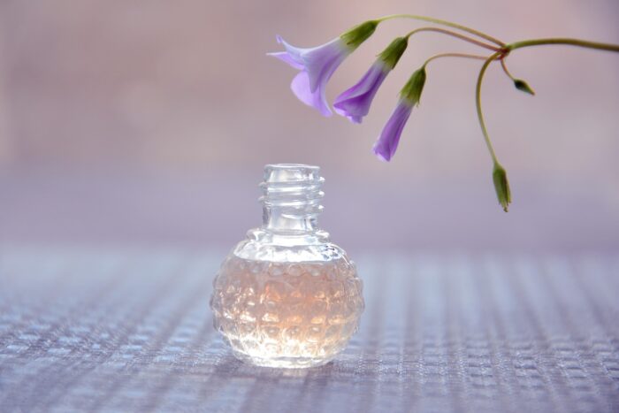 SUR LA ROUTE DU MIMOSA ET DE LA VIOLETTE – Image 2