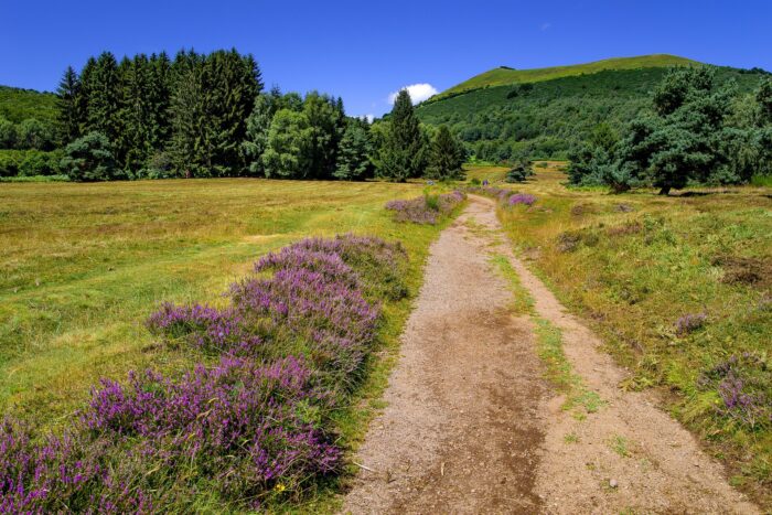 SUR LES PAS DE COMPOSTELLE – Image 3