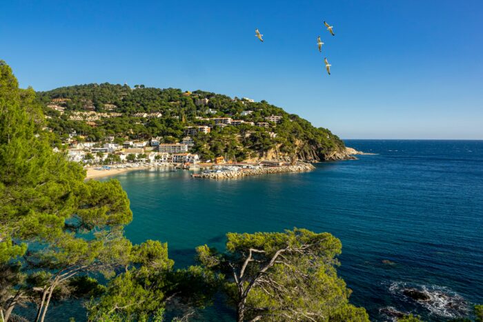 FÊTONS LE PRINTEMPS À PLAYA D'ARO – Image 4