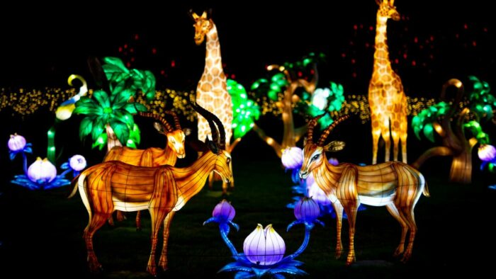 LUMIERES SAUVAGES  AU SAFARI DE PEAUGRES