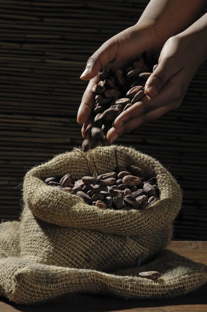 JOURNÉE MASTROU ET CHOCOLAT