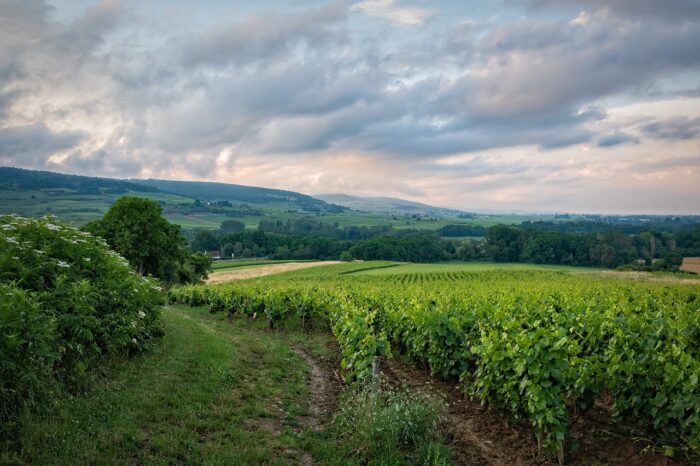 JOURNÉE EN DRÔME ARDÈCHE