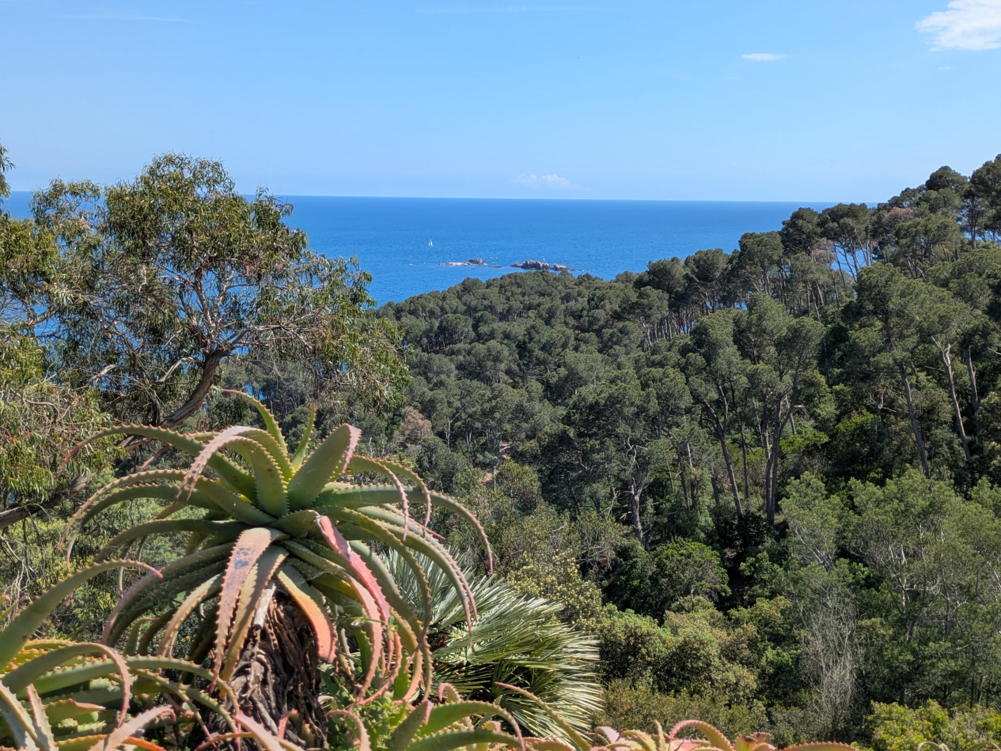 PLAYA D'ARO – Image 6